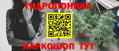 ALPHA PVP Кунгур