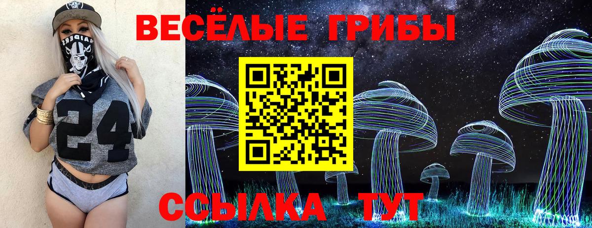 Кандалакша  Галлюциногенные грибы прущие грибы  Вход с VPN 